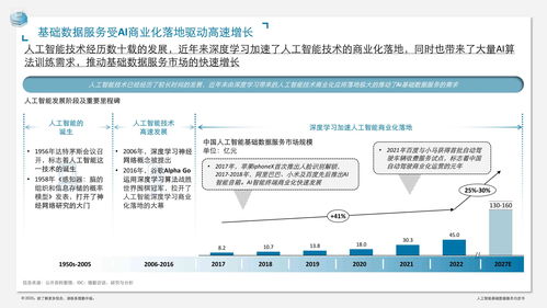 人工智能基礎(chǔ)數(shù)據(jù)服務(wù)與軟件開發(fā)白皮書