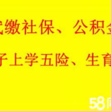 西安金領(lǐng)人力資源信息咨詢服務(wù)有限責任公司 專業(yè)信息咨詢服務(wù)的全面解析